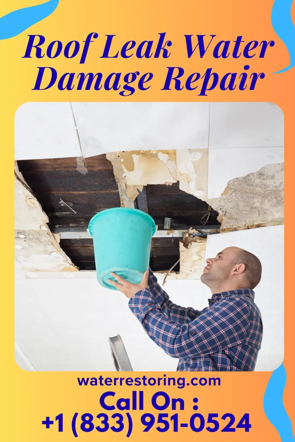 Roof Leak Water Damage Repair in Delta, IA