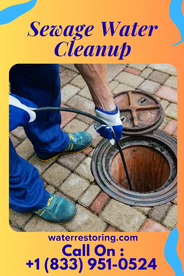 Sewage Water Cleanup in Delta, IA
